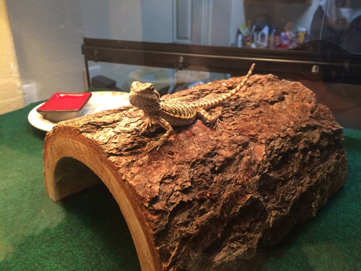 3DF2F51E-5DDE-48A0-8AD8-3D9060DDBE41